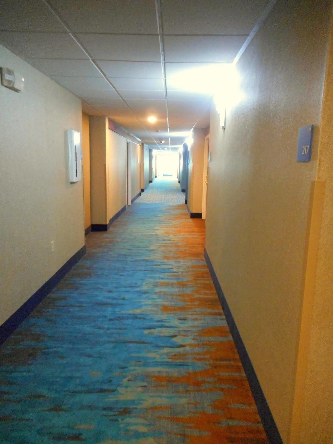 Holiday Inn Express & Suites Indianapolis North - Carmel By Ihg エクステリア 写真